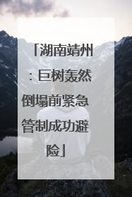 湖南靖州：巨树轰然倒塌前紧急管制成功避险