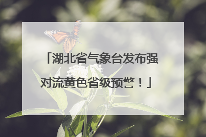 湖北省气象台发布强对流黄色省级预警！