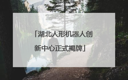 湖北人形机器人创新中心正式揭牌