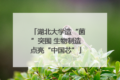 湖北大学造“菌”突围 生物制造点亮“中国芯”