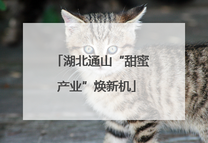 湖北通山“甜蜜产业”焕新机