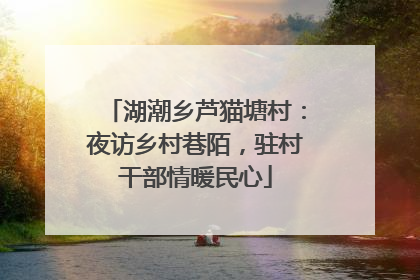 湖潮乡芦猫塘村：夜访乡村巷陌，驻村干部情暖民心