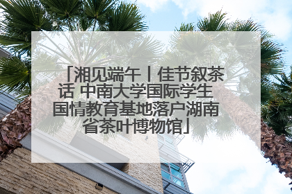 湘见端午丨佳节叙茶话 中南大学国际学生国情教育基地落户湖南省茶叶博物馆