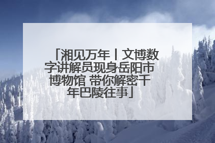 湘见万年丨文博数字讲解员现身岳阳市博物馆 带你解密千年巴陵往事
