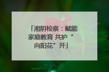 湘阴检察：赋能家庭教育 共护“向阳花”开