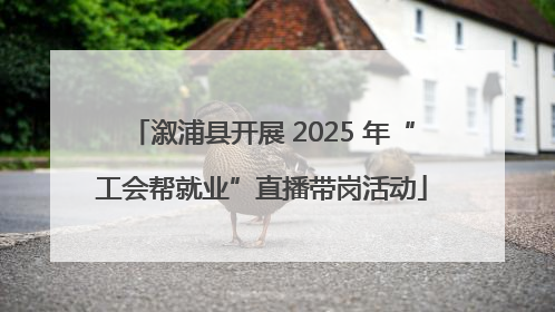 溆浦县开展 2025 年“工会帮就业”直播带岗活动
