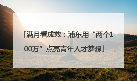 满月看成效：浦东用“两个100万”点亮青年人才梦想