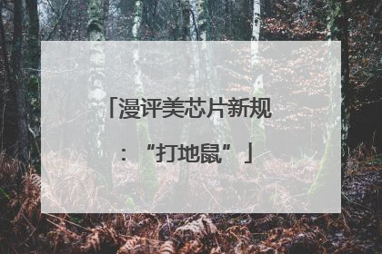 漫评美芯片新规：“打地鼠”