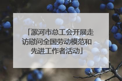 漯河市总工会开展走访慰问全国劳动模范和先进工作者活动