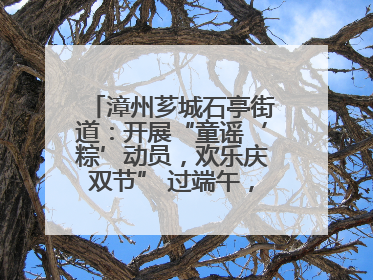漳州芗城石亭街道：开展“童谣‘粽’动员，欢乐庆双节” 过端午，庆六一活动