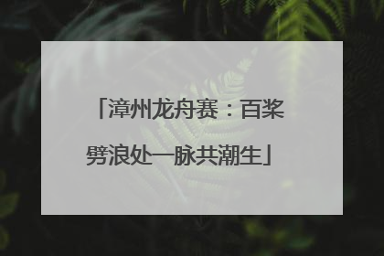 漳州龙舟赛：百桨劈浪处一脉共潮生