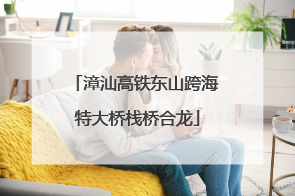 漳汕高铁东山跨海特大桥栈桥合龙