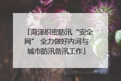 菏泽织密防汛“安全网” 全力做好内河与城市防汛备汛工作