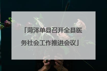 菏泽单县召开全县医务社会工作推进会议