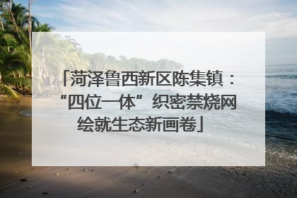 菏泽鲁西新区陈集镇：“四位一体”织密禁烧网 绘就生态新画卷