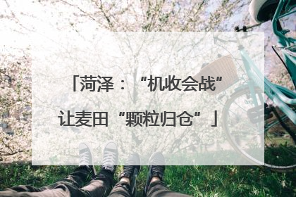 菏泽：“机收会战”让麦田“颗粒归仓”