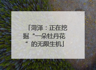 菏泽：正在挖掘“一朵牡丹花”的无限生机