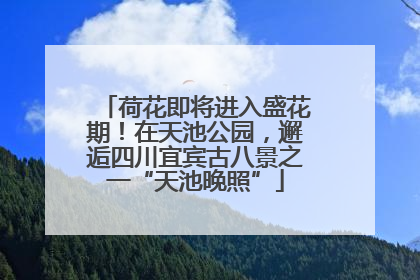 荷花即将进入盛花期！在天池公园，邂逅四川宜宾古八景之一“天池晚照”