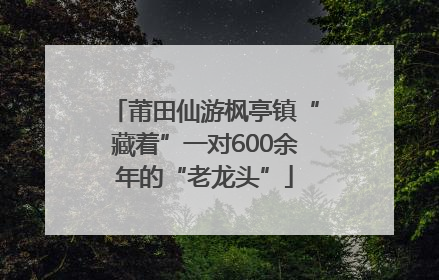 莆田仙游枫亭镇“藏着”一对600余年的“老龙头”
