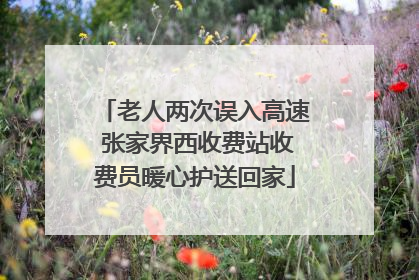 老人两次误入高速 张家界西收费站收费员暖心护送回家