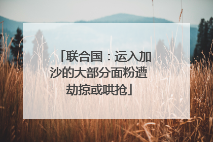 联合国：运入加沙的大部分面粉遭劫掠或哄抢