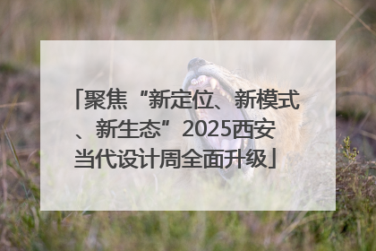 聚焦“新定位、新模式、新生态”2025西安当代设计周全面升级