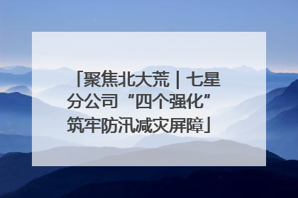 聚焦北大荒｜七星分公司“四个强化”筑牢防汛减灾屏障