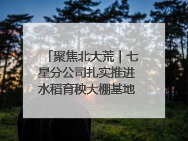 聚焦北大荒｜七星分公司扎实推进水稻育秧大棚基地清理整治工作