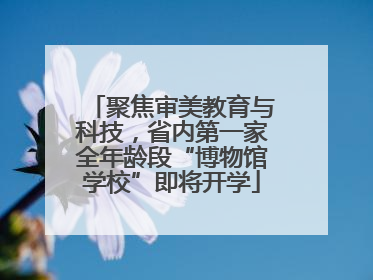 聚焦审美教育与科技，省内第一家全年龄段“博物馆学校”即将开学