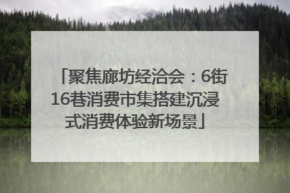 聚焦廊坊经洽会：6街16巷消费市集搭建沉浸式消费体验新场景