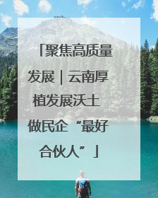 聚焦高质量发展｜云南厚植发展沃土 做民企“最好合伙人”