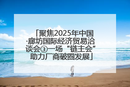 聚焦2025年中国·廊坊国际经济贸易洽谈会③一场“链主会” 助力厂商破圈发展