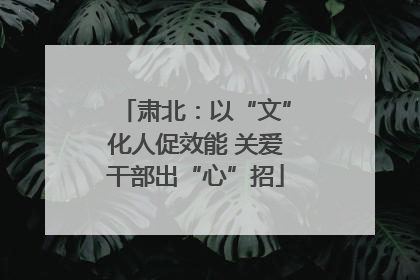 肃北：以“文”化人促效能 关爱干部出“心”招