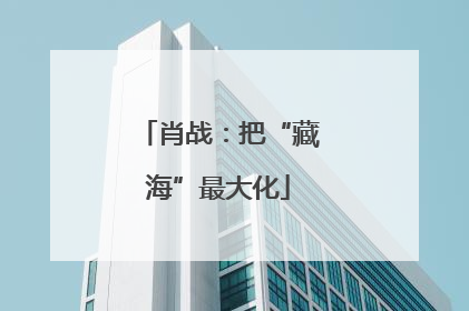 肖战：把“藏海”最大化