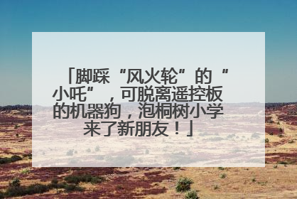 脚踩“风火轮”的“小吒”，可脱离遥控板的机器狗，泡桐树小学来了新朋友！