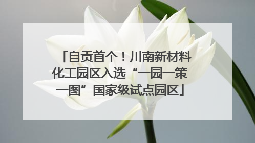 自贡首个！川南新材料化工园区入选“一园一策一图”国家级试点园区