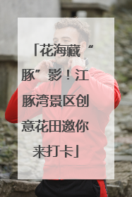 花海藏“豚”影！江豚湾景区创意花田邀你来打卡