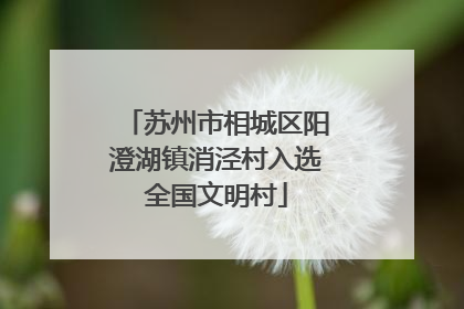 苏州市相城区阳澄湖镇消泾村入选全国文明村