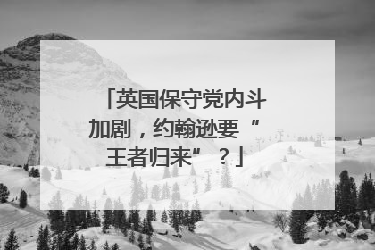 英国保守党内斗加剧，约翰逊要“王者归来”？