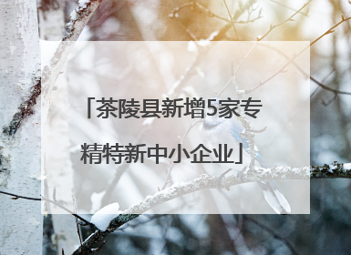 茶陵县新增5家专精特新中小企业