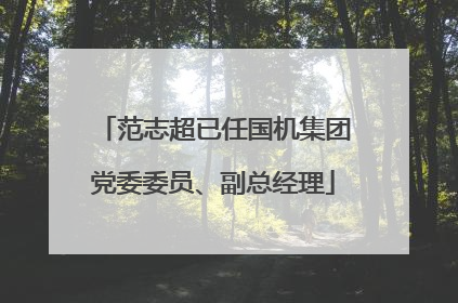 范志超已任国机集团党委委员、副总经理