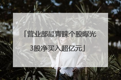 营业部最青睐个股曝光 3股净买入超亿元