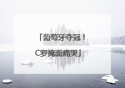 葡萄牙夺冠！C罗掩面痛哭