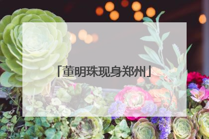 董明珠现身郑州