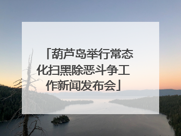 葫芦岛举行常态化扫黑除恶斗争工作新闻发布会