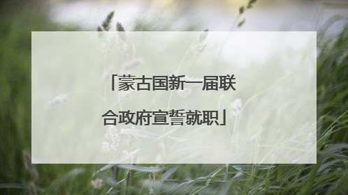 蒙古国新一届联合政府宣誓就职