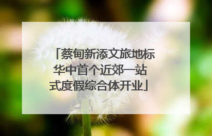 蔡甸新添文旅地标 华中首个近郊一站式度假综合体开业