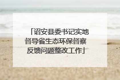 诏安县委书记实地督导省生态环保督察反馈问题整改工作