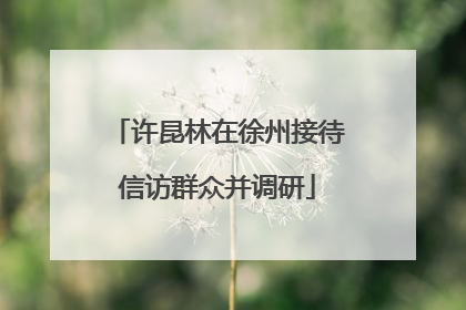 许昆林在徐州接待信访群众并调研