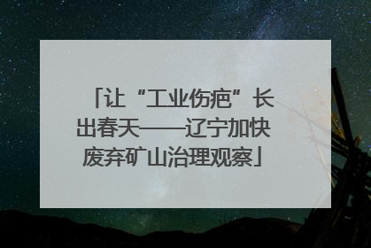 让“工业伤疤”长出春天——辽宁加快废弃矿山治理观察
